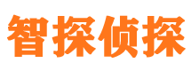 滨江外遇调查取证